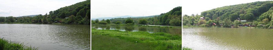 bodovka