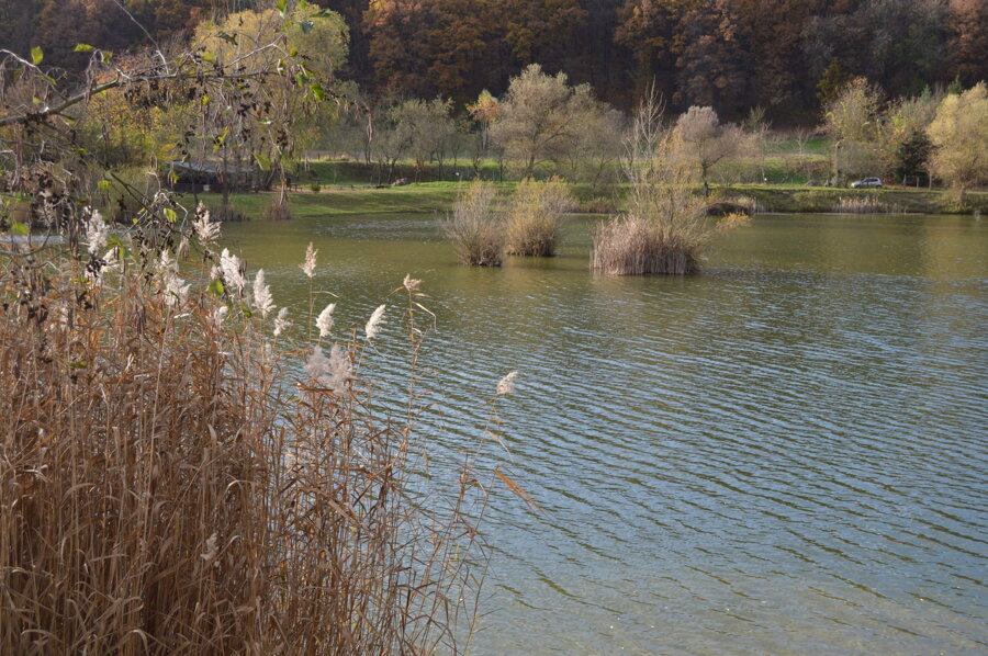 Nemsova