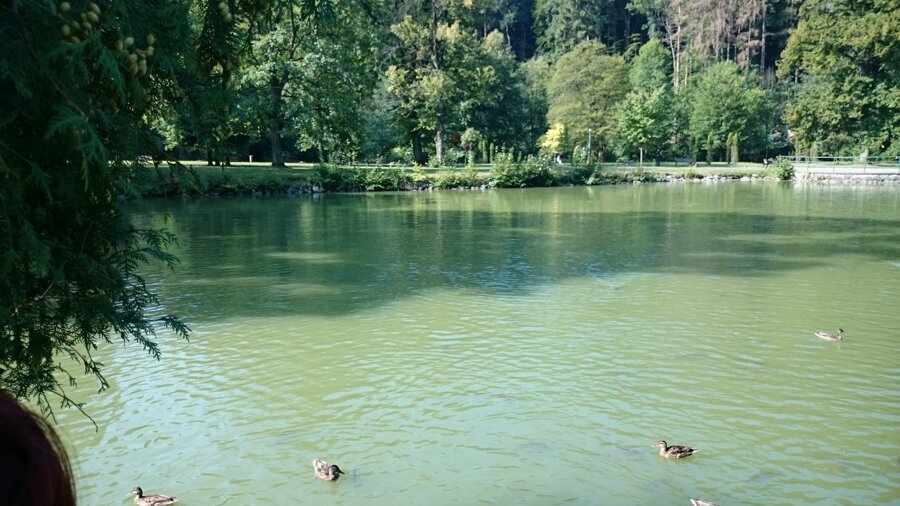 teplice2
